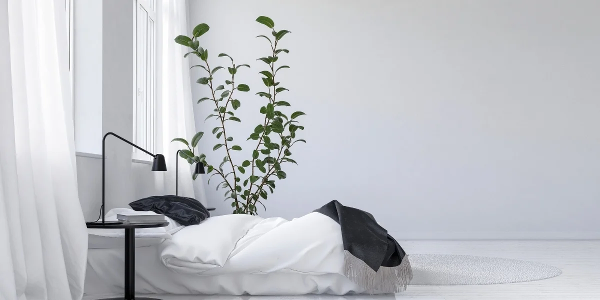 How to Create a Stress-Free Bedroom with Minimalist Design Ideas