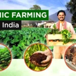 Farmer empowerment system through sustainable organic farming