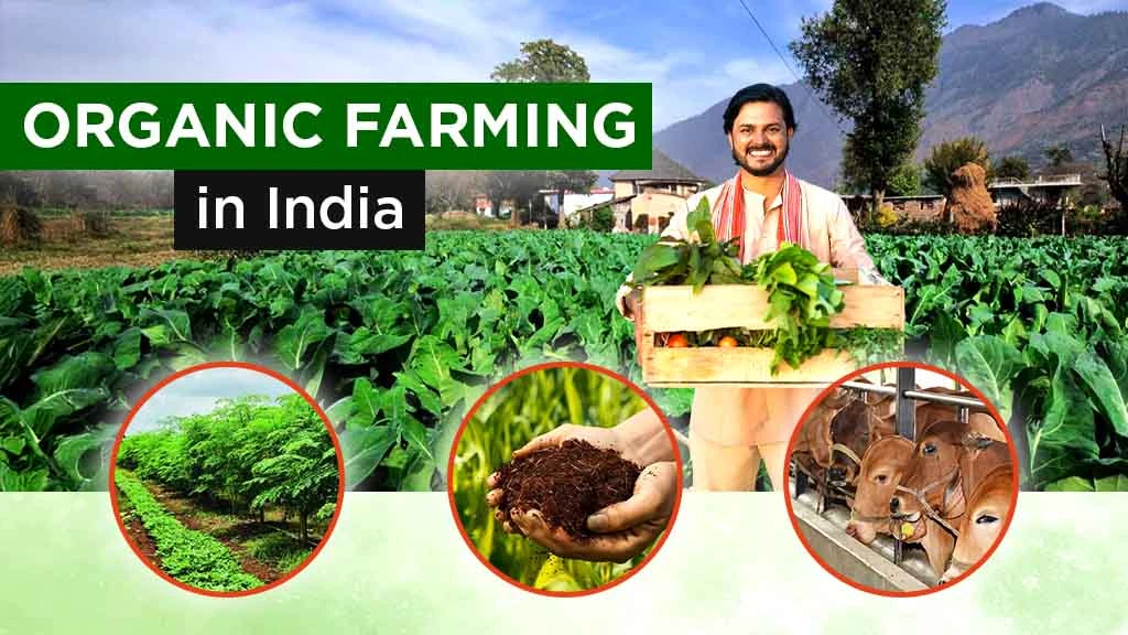 Farmer empowerment system through sustainable organic farming Farmer empowerment system through sustainable organic farming