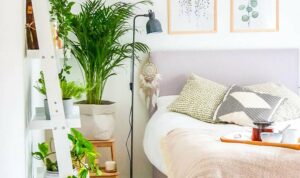 Bedroom Ideas: Embracing Modern Minimalist Design for a Stylish Sanctuary